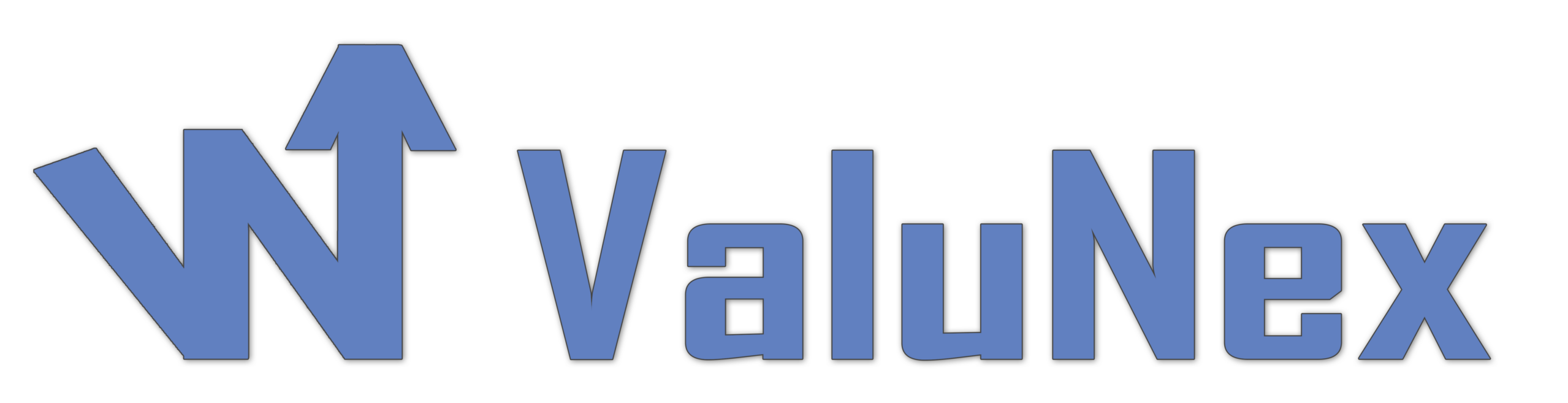 ValuNex Logo